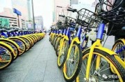 安阳自行车爆料案件视频,真相与疑云交织的悬疑故事